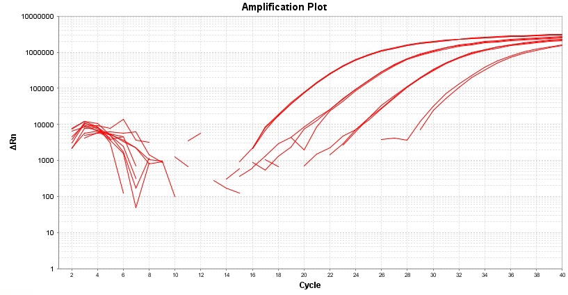 TAQuest FAST qPCR Master Mix 用于TaqMan探针*无ROX*    货号17289