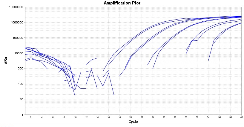 TAQuest qPCR Master Mix 用于TaqMan探针*无ROX*    货号17282