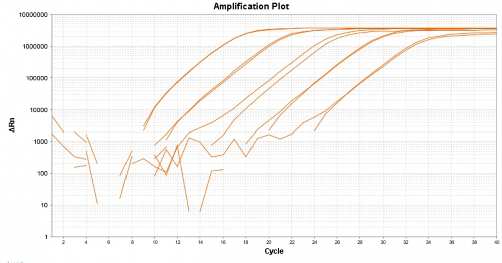 TAQuest qPCR Master Mix with Helixyte Green *无 ROX*    货号17271