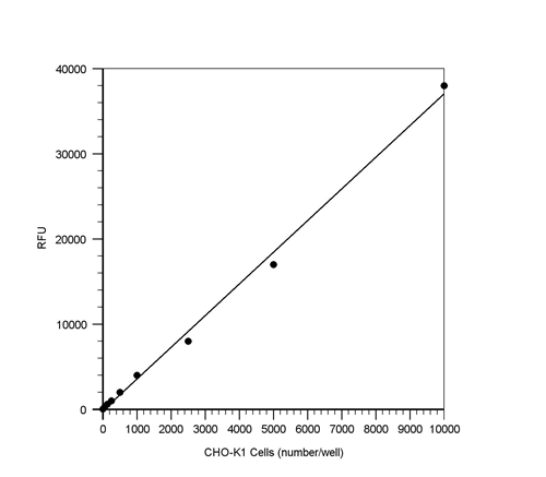 Cell Meter 荧光法细胞毒性检测试剂盒    货号22781