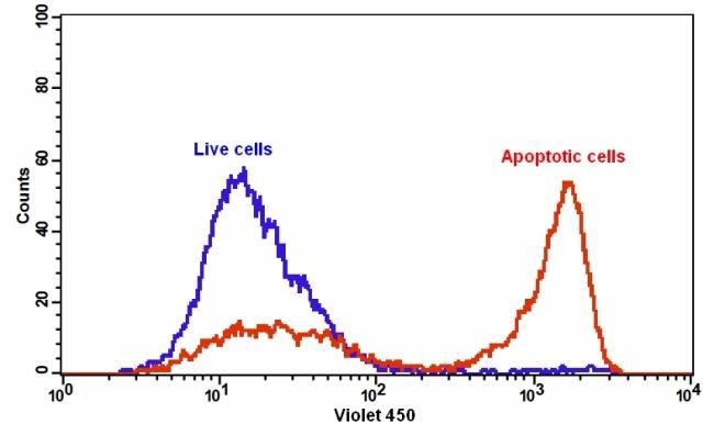 Annexin V凋亡检测试剂盒 蓝色荧光 405nm激发 货号22828