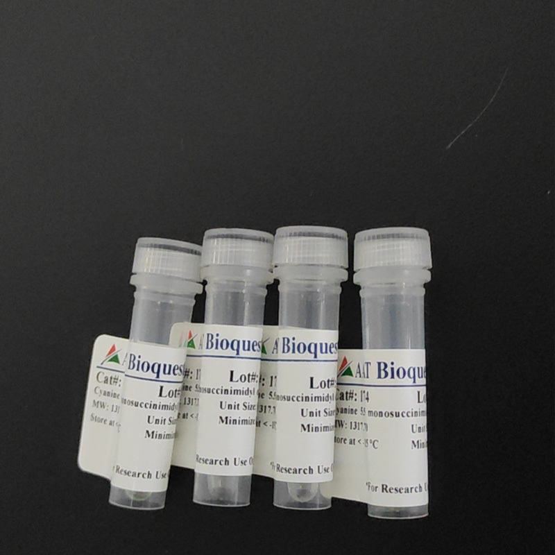 Alkyne Modifier II 琥珀酰亚胺酯 货号4533