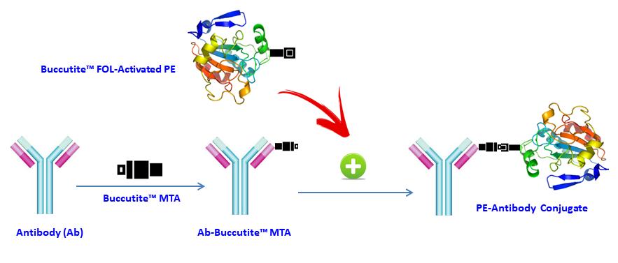 RPE-iFluor 750 PE-AlexaFluor750Tandem 货号2578