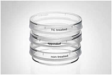 细胞培养皿，60mm,艾本德/Eppendorf,未处理, 无菌, 无细胞毒性, 300个 0030701011