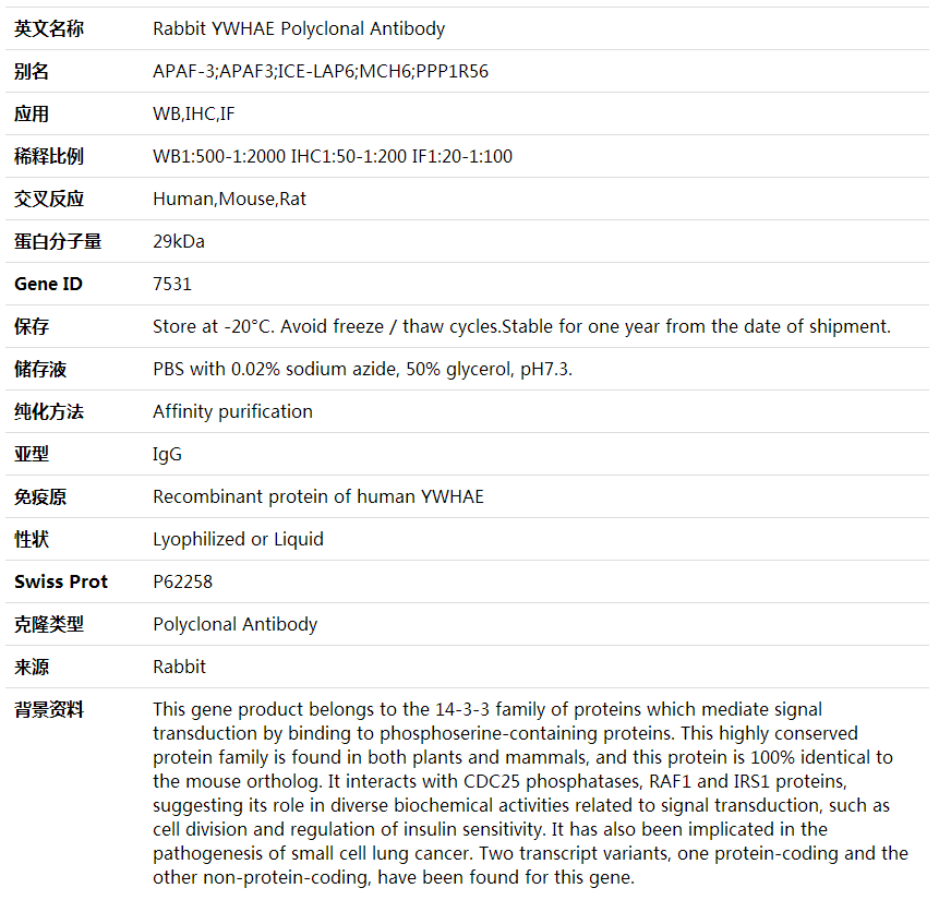 Anti-YWHAE Polyclonal Antibody,索莱宝,K002055P-100ul