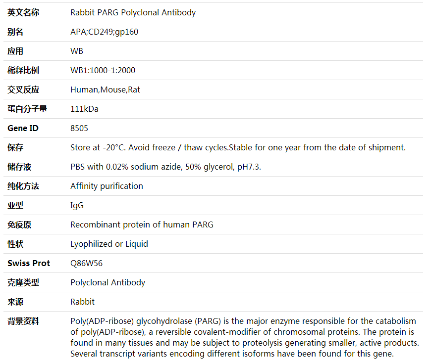 Anti-PARG Polyclonal Antibody,索莱宝,K002054P-100ul