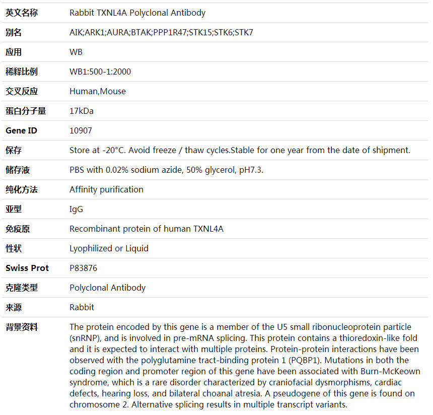 Anti-TXNL4A Polyclonal Antibody,索莱宝,K001857P-100ul