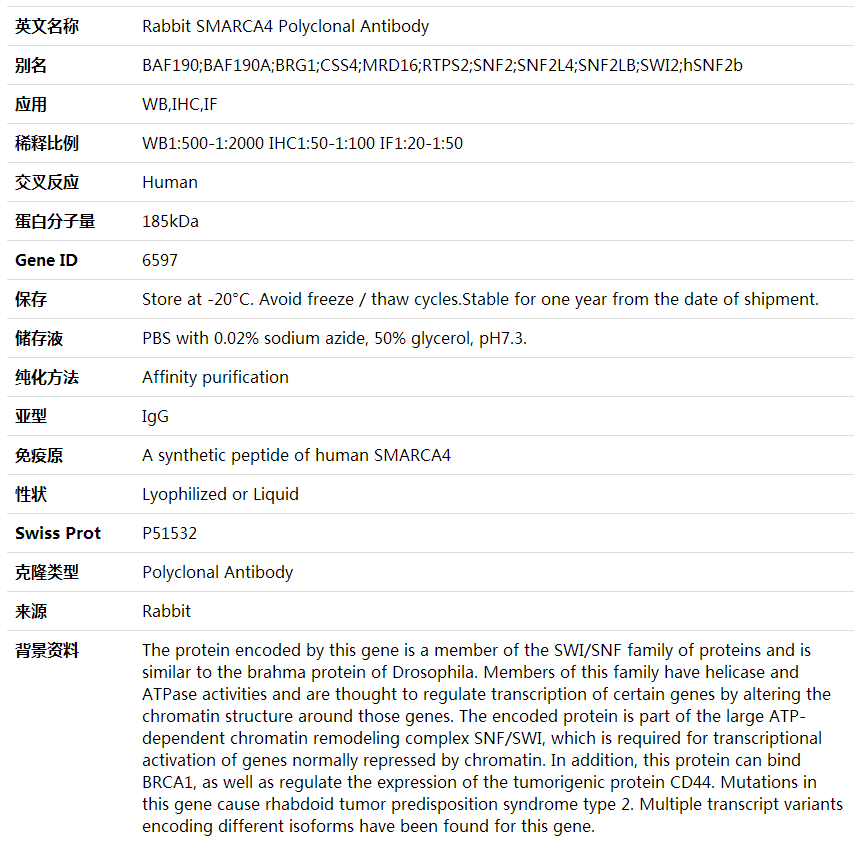 Anti-SMARCA4 Polyclonal Antibody,索莱宝,K001757P-100ul