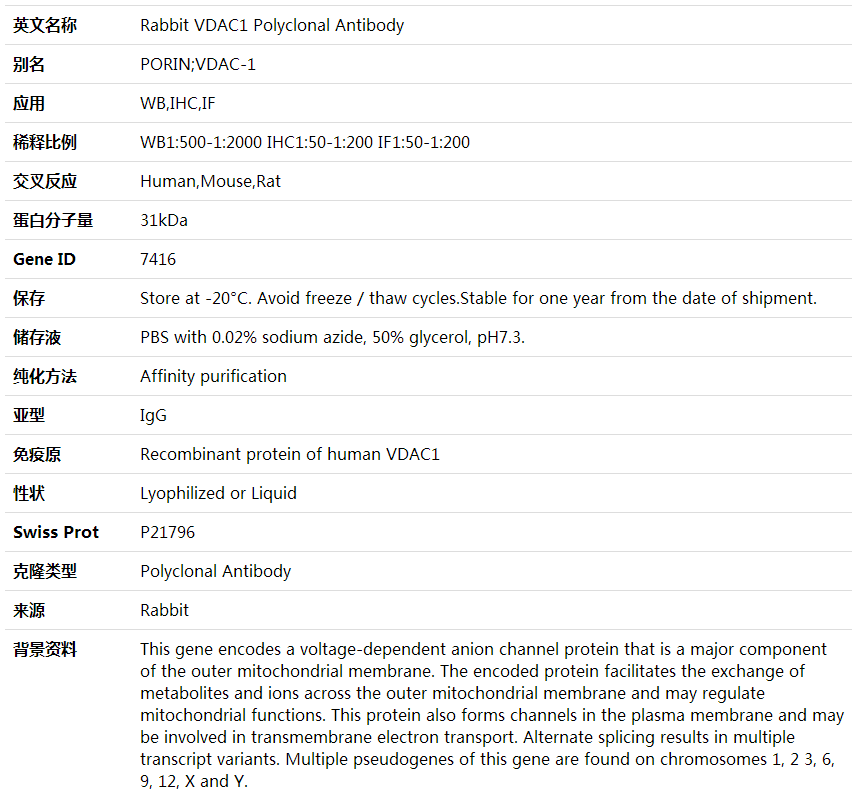 Anti-VDAC1 Polyclonal Antibody,索莱宝,K001750P-50ul