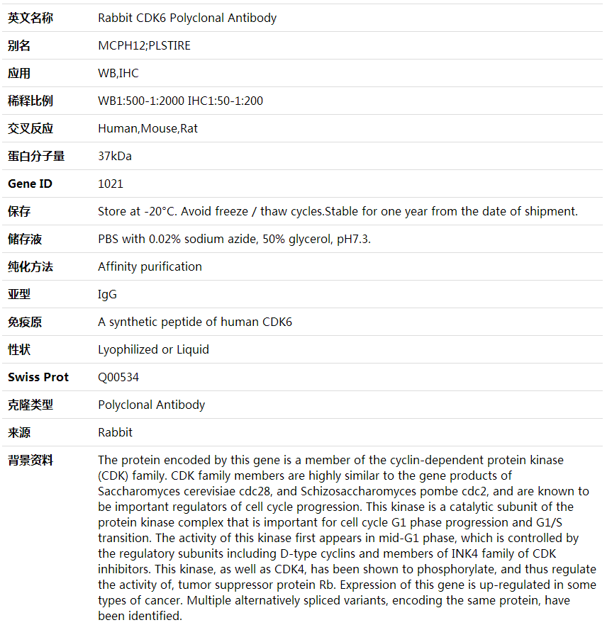 Anti-CDK6 Polyclonal Antibody,索莱宝,K001736P-100ul