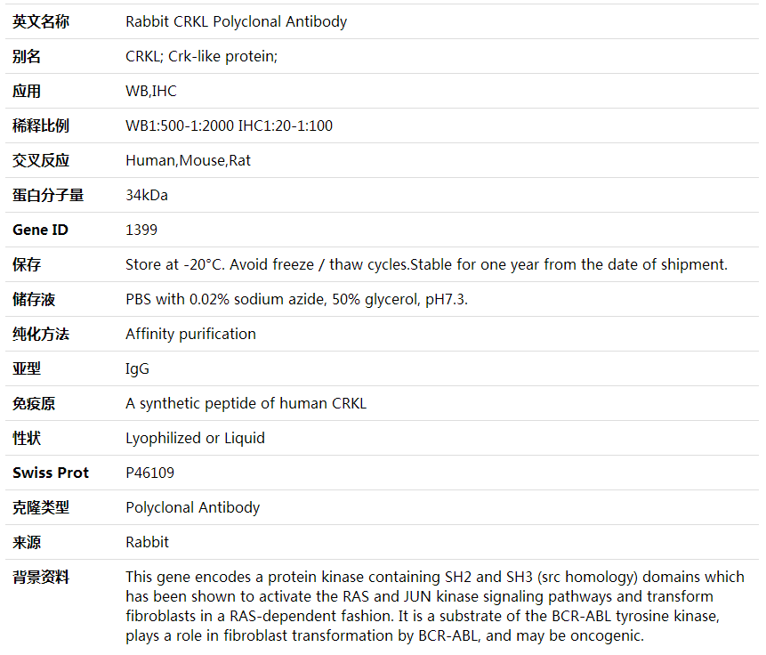 Anti-CRKL Polyclonal Antibody,索莱宝,K001692P-50ul