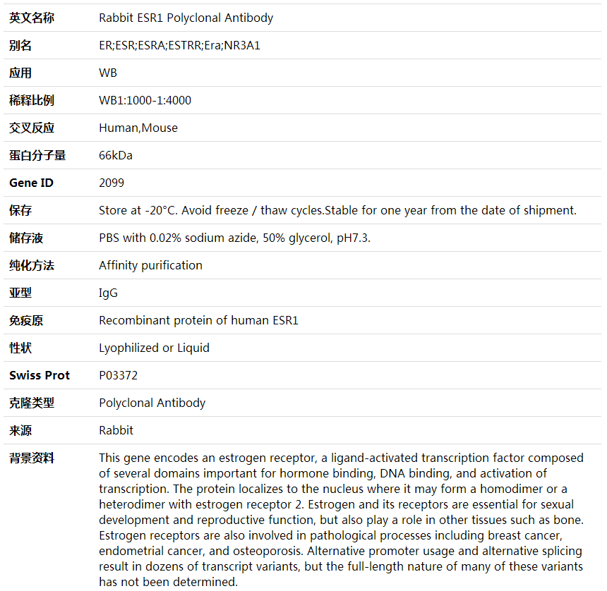 Anti-ESR1 Polyclonal Antibody,索莱宝,K001668P-30ul