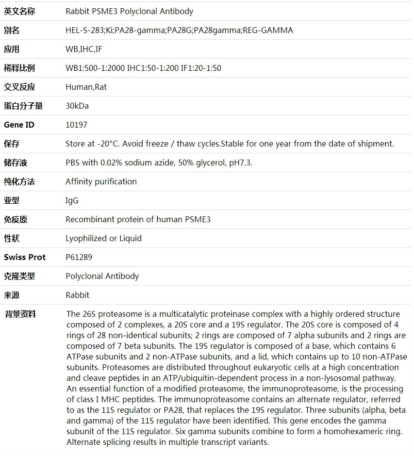 Anti-PSME3 Polyclonal Antibody,索莱宝,K001648P-50ul