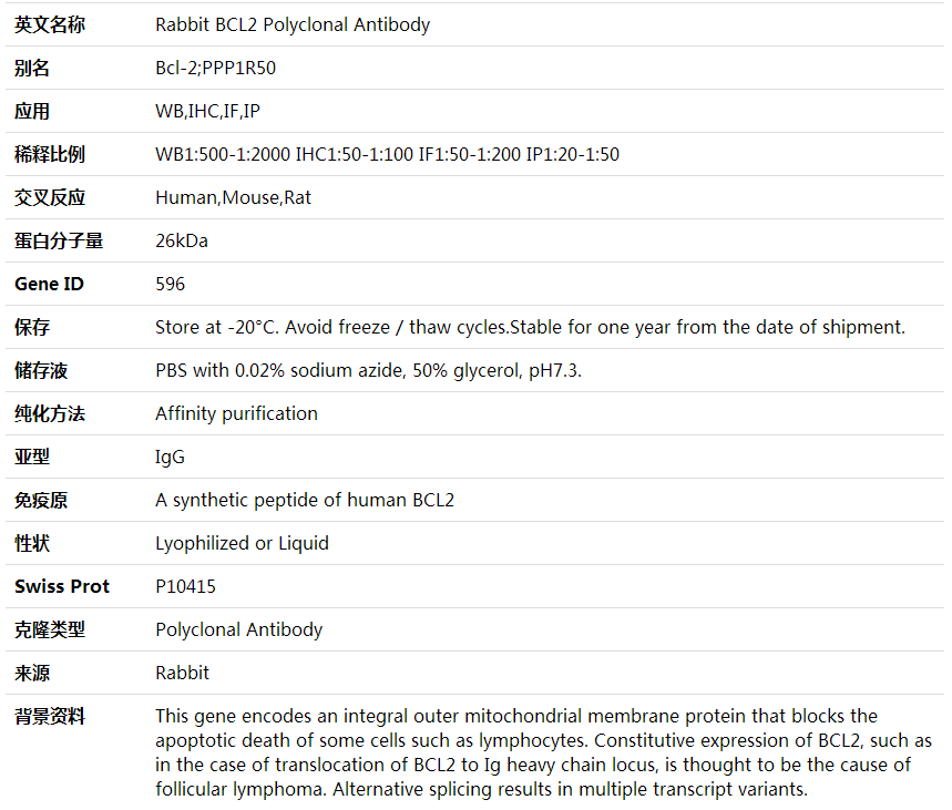 Anti-BCL2 Polyclonal Antibody,索莱宝,K001594P-100ul