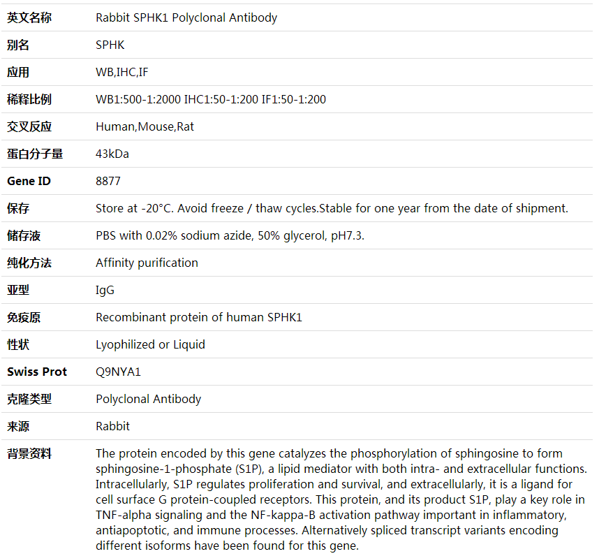 Anti-SPHK1 Polyclonal Antibody,索莱宝,K001579P-100ul