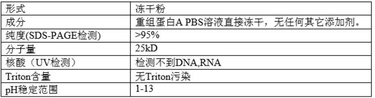 SPA 重组金黄色葡萄球菌蛋白A,索莱宝,P6860-1mg