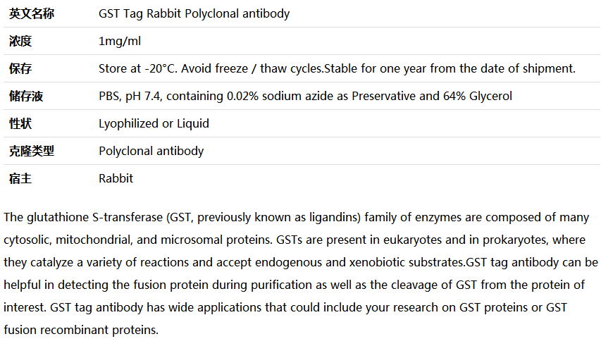 GST Tag antibody,索莱宝,RG001040-100ul