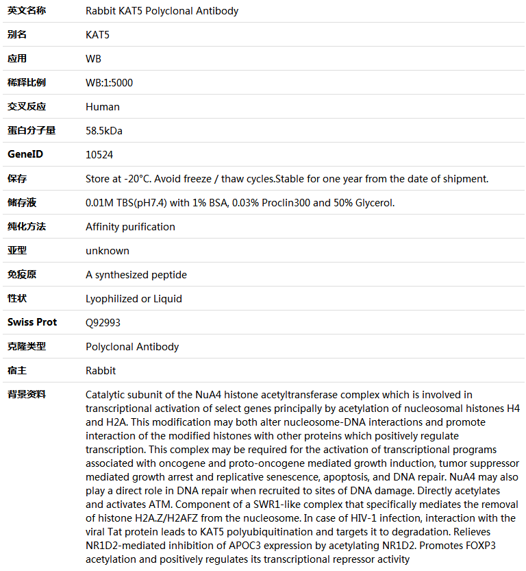 TFDP3 Antibody,索莱宝,K001542P-100ul