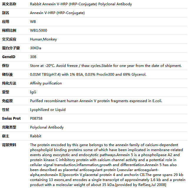 Annexin V-HRP (HRP-Conjugate) Antibody,索莱宝,K001503P-100ul