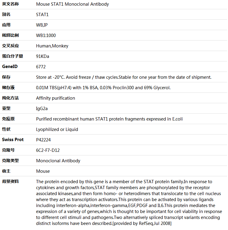 STAT1 Antibody,索莱宝,K001439M-100ul