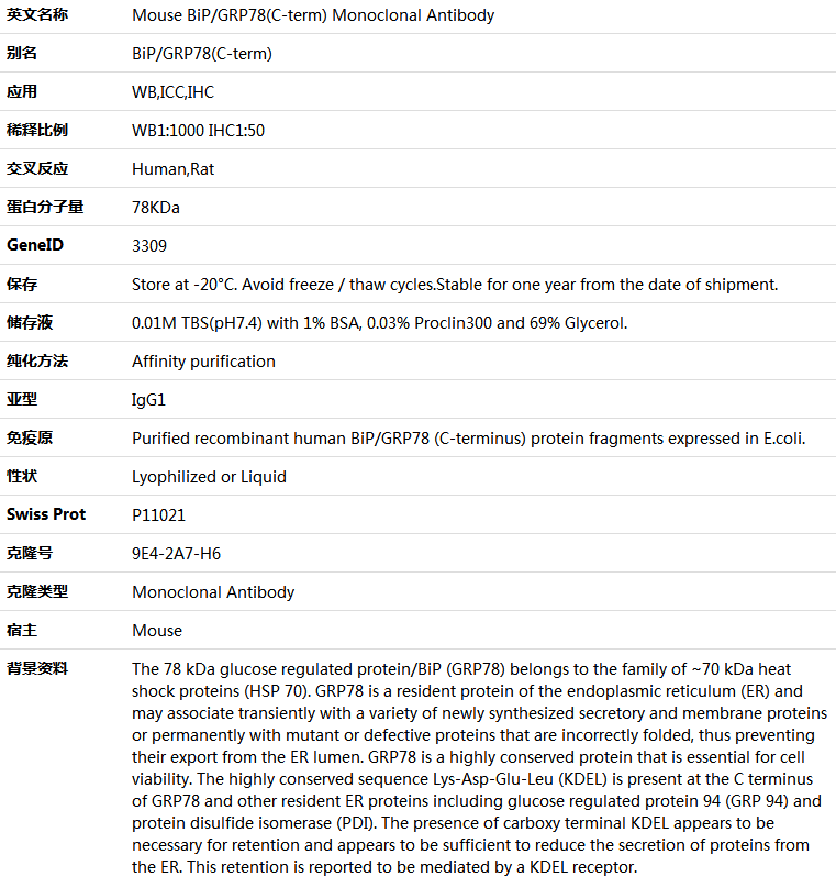 BiP/GRP78(C-term) Antibody,索莱宝,K001364M-100ul