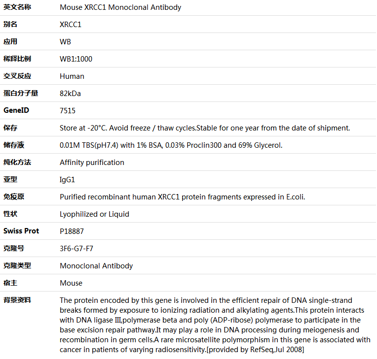 XRCC1 Antibody,索莱宝,K000148M-100ul