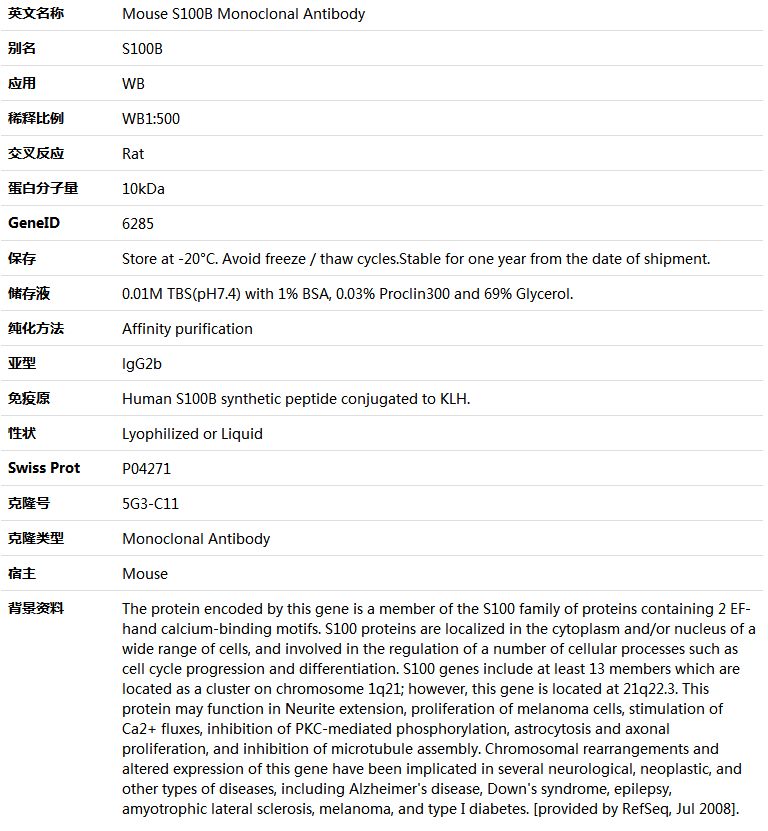 S100B Antibody,索莱宝,K000176M-100ul