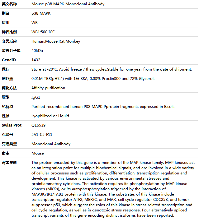 p38 MAPK Antibody,索莱宝,K000093M-50ul