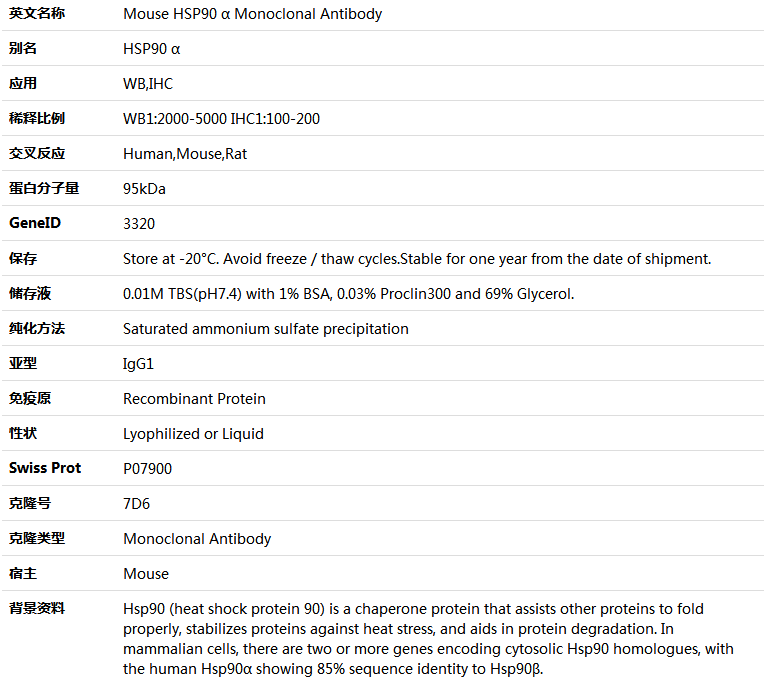 HSP90 α Antibody,索莱宝,K000231M-100ul