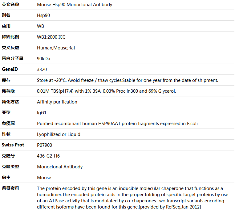 Hsp90 Antibody,索莱宝,K000131M-100ul