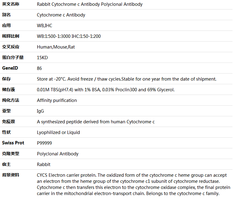 Cytochrome c Antibody Antibody,索莱宝,K000464P-100ul