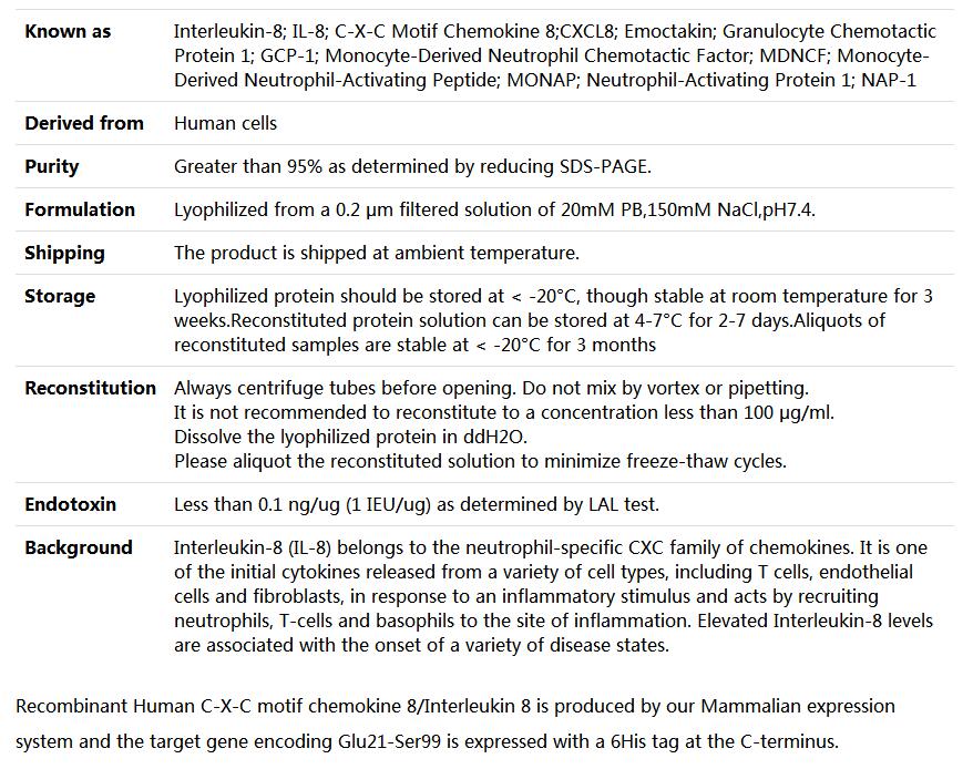 Recombinant Human CXCL8/IL-8,索莱宝,P00132-1mg