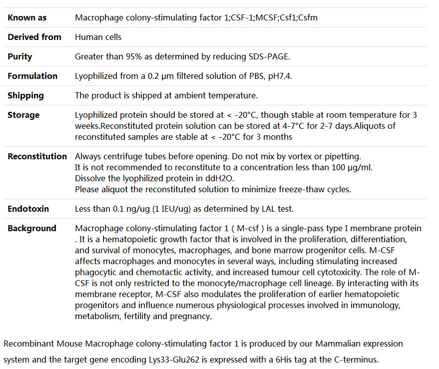 Recombinant Mouse Macrophage colony-stimulating factor 1/M-CSF/CSF1,索莱宝,P00107-1mg