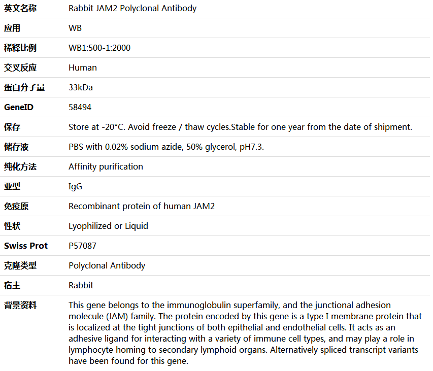 JAM2 Antibody,索莱宝,K006140P-100ul