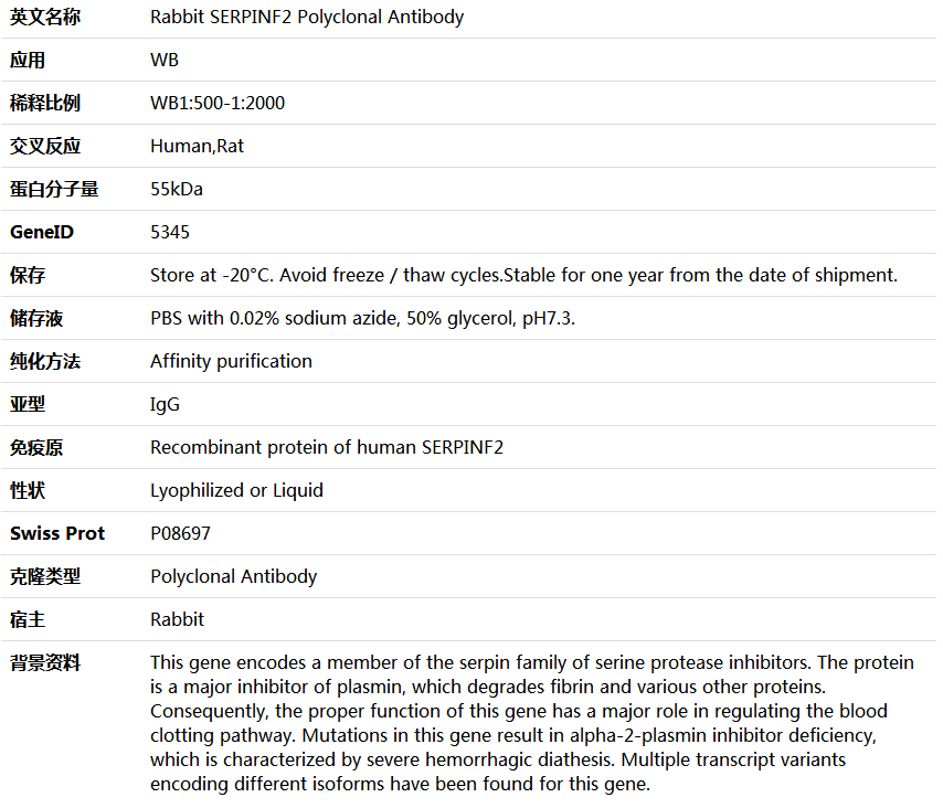 SERPINF2 Antibody,索莱宝,K006123P-100ul