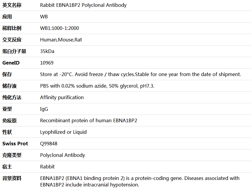 EBNA1BP2 Antibody,索莱宝,K006007P-50ul