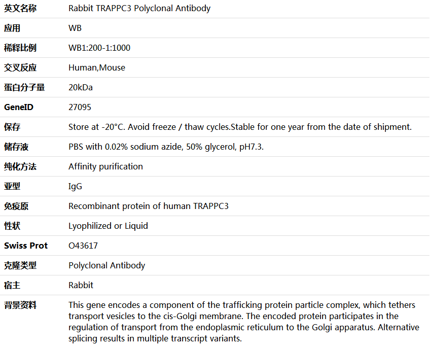 TRAPPC3 Antibody,索莱宝,K006001P-100ul