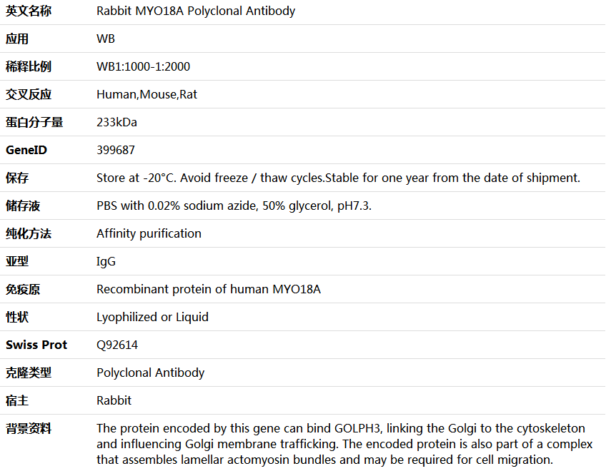 MYO18A Antibody,索莱宝,K005988P-100ul