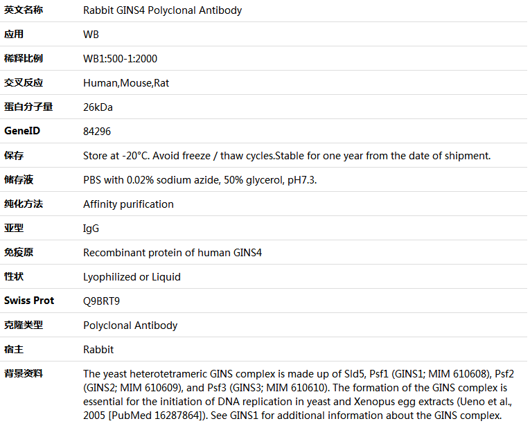 GINS4 Antibody,索莱宝,K005931P-100ul