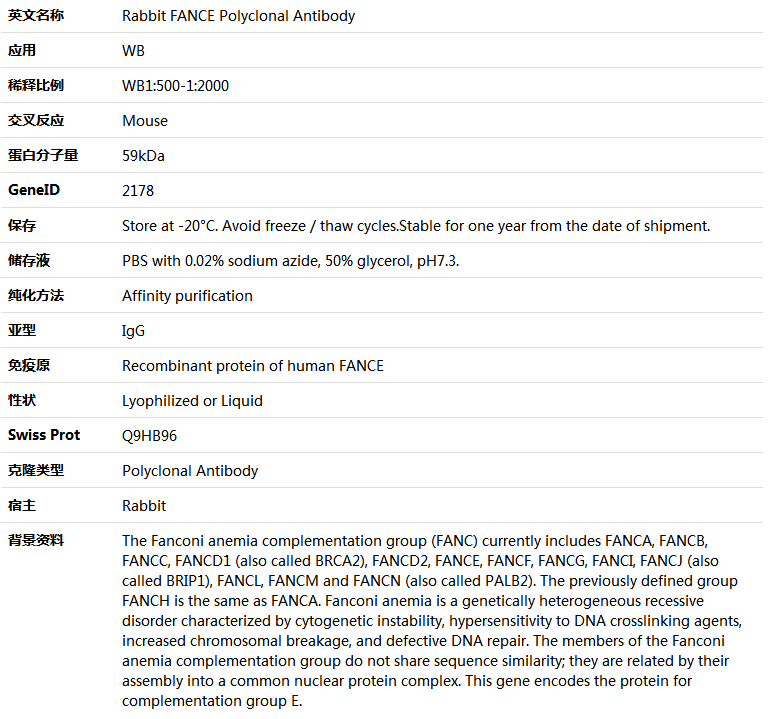 FANCE Antibody,索莱宝,K005820P-100ul