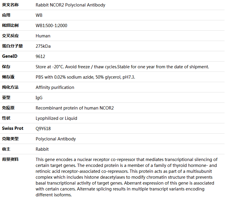 NCOR2 Antibody,索莱宝,K005802P-50ul