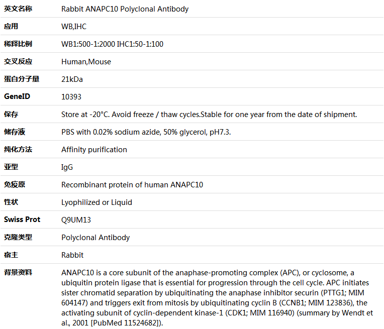 ANAPC10 Antibody,索莱宝,K005762P-50ul