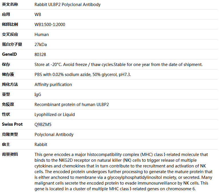 ULBP2 Antibody,索莱宝,K005728P-100ul