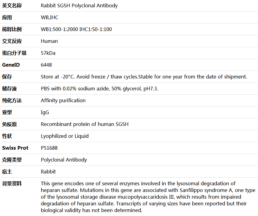 SGSH Antibody,索莱宝,K005682P-100ul