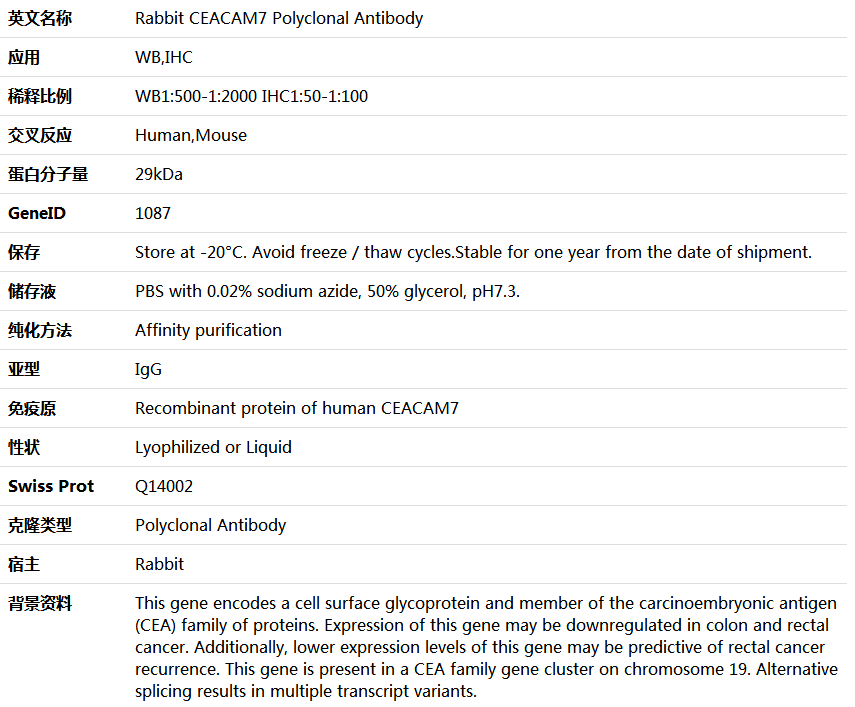 CEACAM7 Antibody,索莱宝,K005665P-100ul