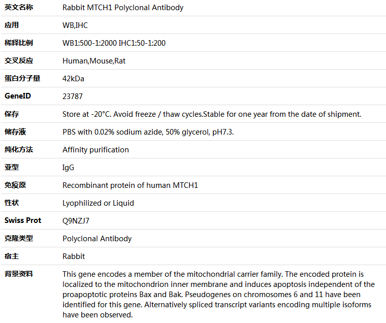 MTCH1 Antibody,索莱宝,K005641P-50ul