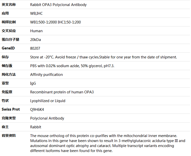 OPA3 Antibody,索莱宝,K005611P-100ul