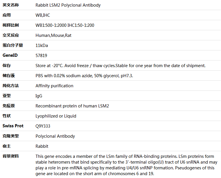 LSM2 Antibody,索莱宝,K005606P-50ul