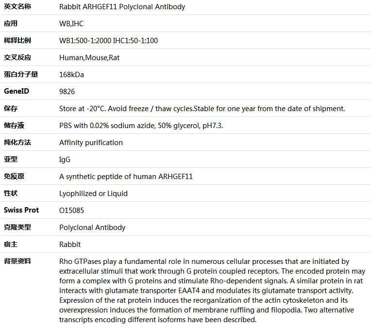 ARHGEF11 Antibody,索莱宝,K005581P-50ul