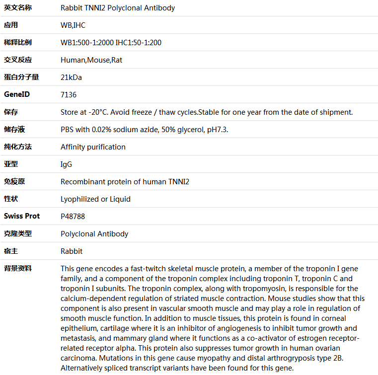 TNNI2 Antibody,索莱宝,K005566P-100ul